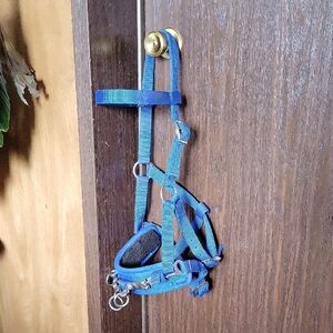 Cavalier Lunging Cavesson